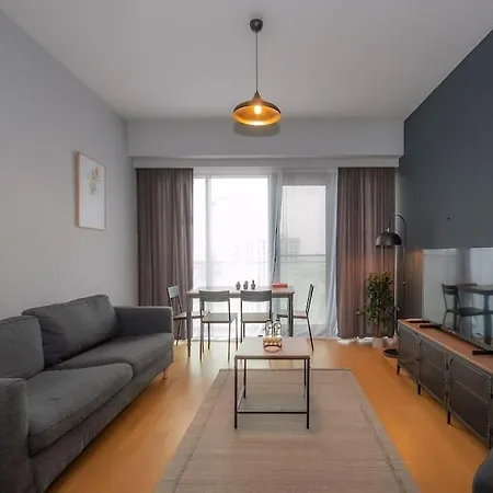 0045 - Kadikoy, Comfy, Cozy And Modern. Apartment